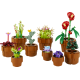 Tiny Plants