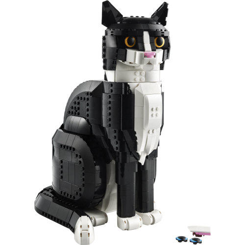 Tuxedo Cat