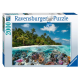 A Dive in the Maldives -...