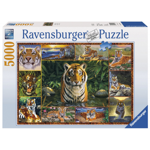 World of Tigers -...