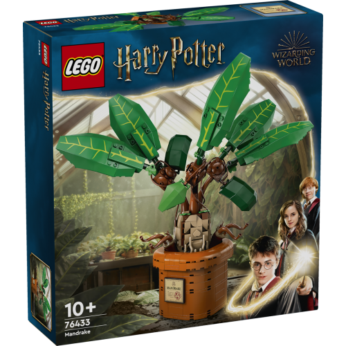 Mandrake