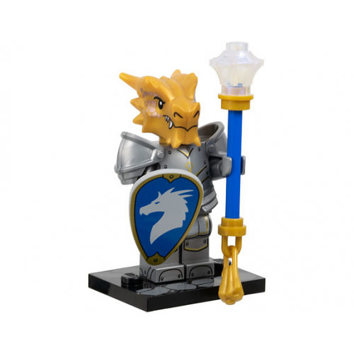 Dragonborn Paladin -...