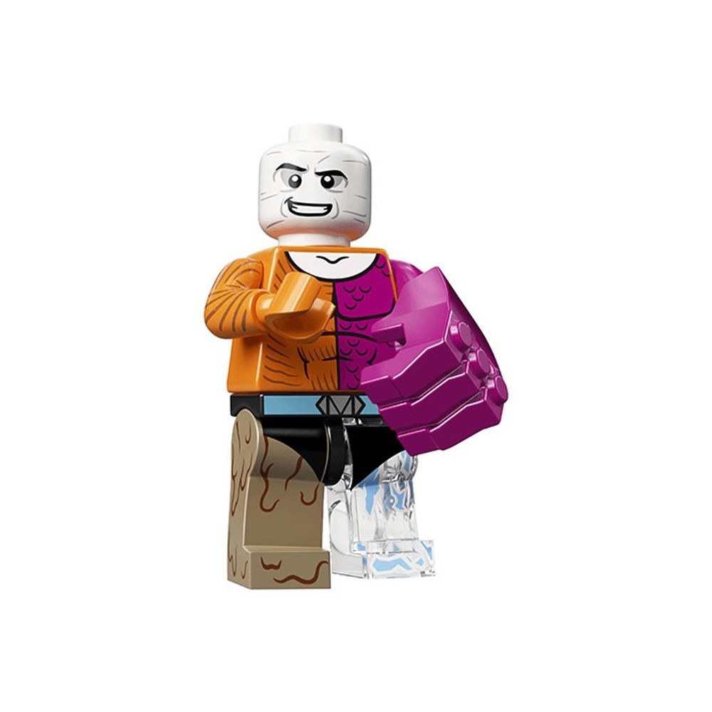 Lego dc store super heroes minifigures