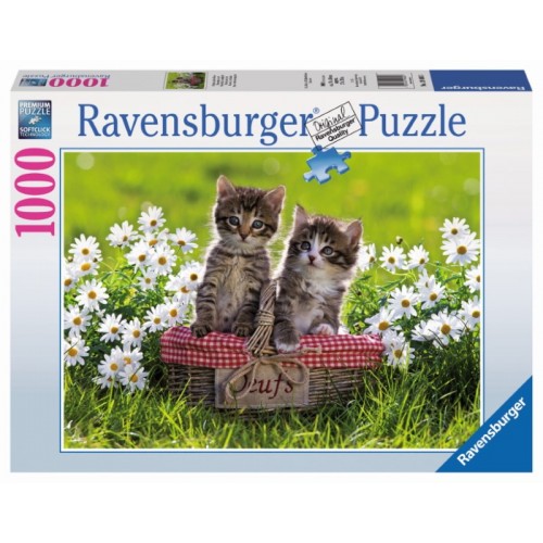 Ravensburger - Picnic in...