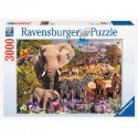 Ravensburger - African Animal World 3000 pcs