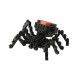 Redback Spider