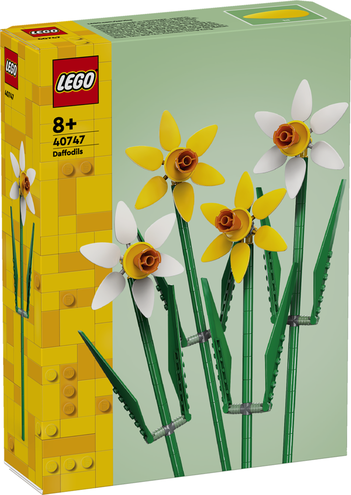 Daffodils