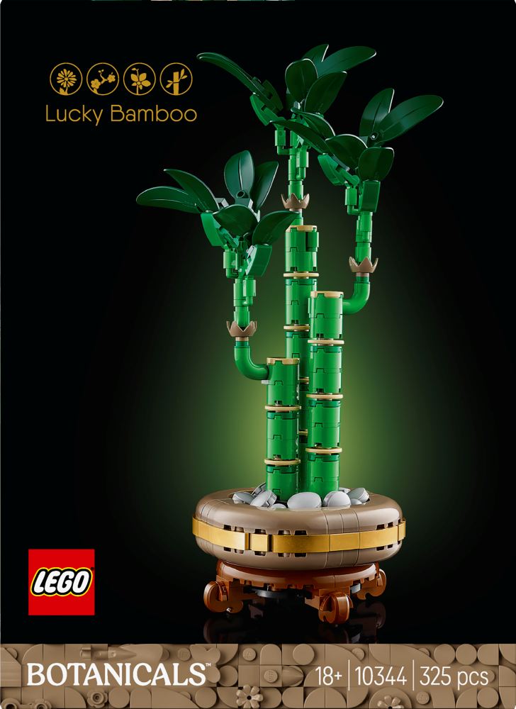 Lucky Bamboo