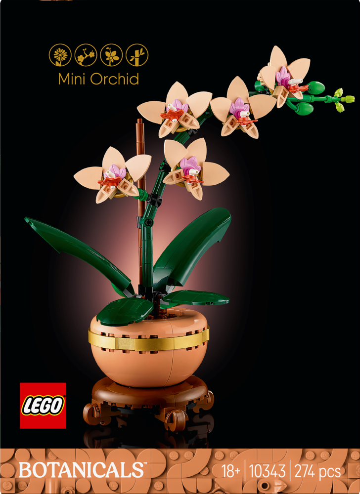 Mini Orchid