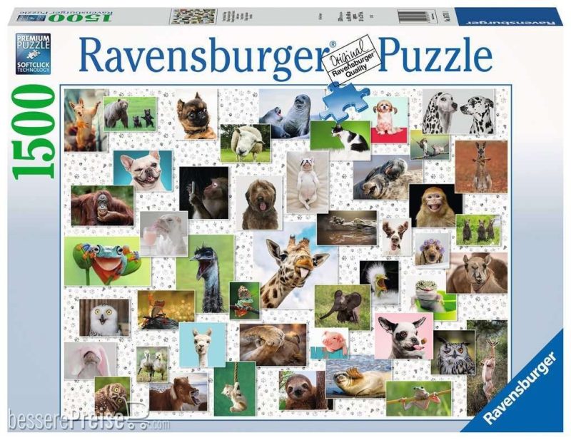 Funny Animals 1500pc Jigsaw