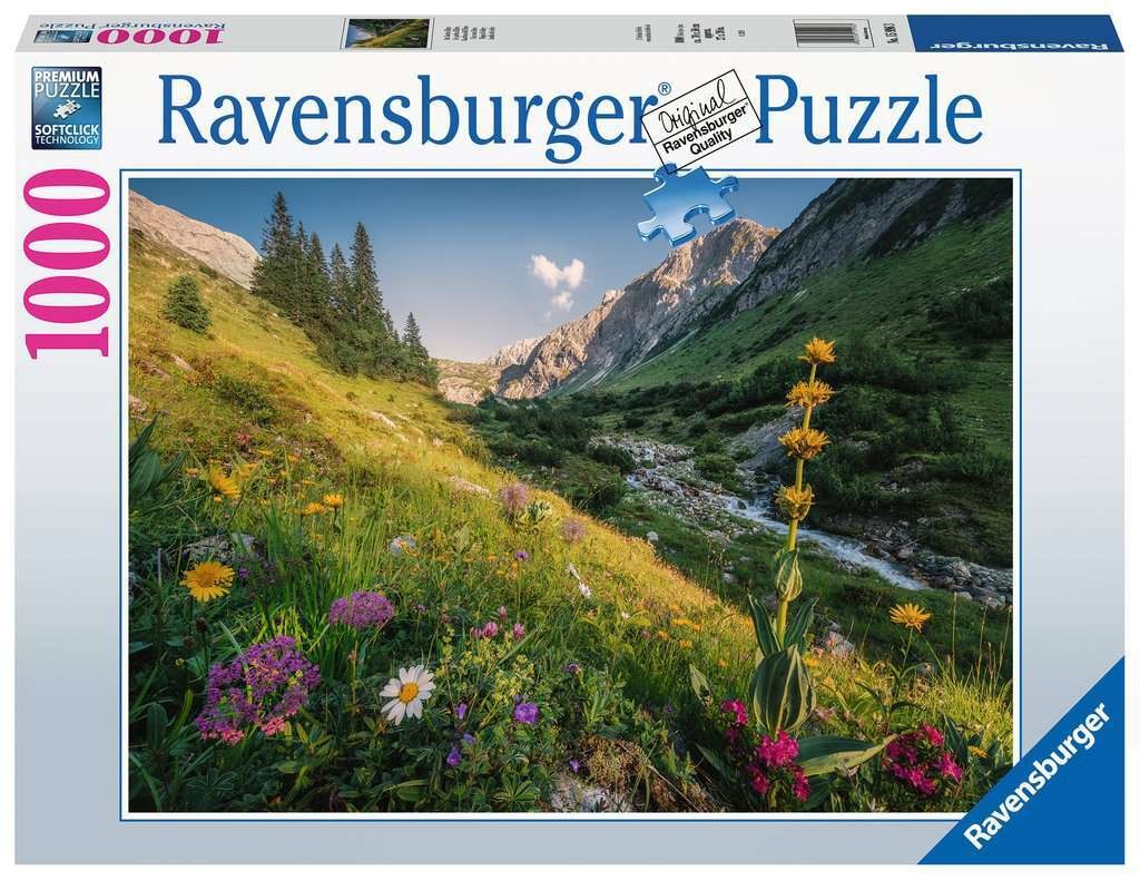 Ravensburger - Magical Valley -1000pc Jigsaw