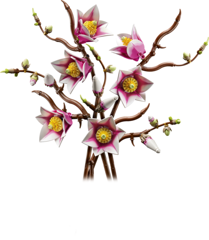 LEGO® Botanicals Magnolia Branches Flower Decor 11510 - Image 2