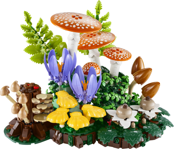 LEGO® Botanicals Woodland Mushrooms Building Set 11505 - Image 2
